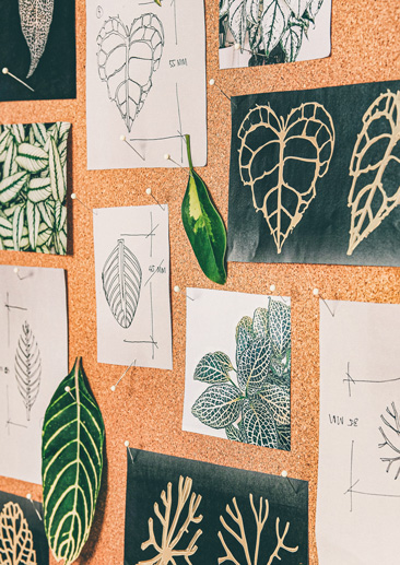 Moodboard of leaves pattern in Kor Landa R&D department